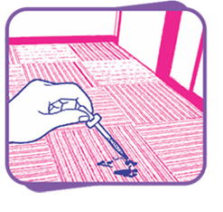 F10A – SPOT REMOVE